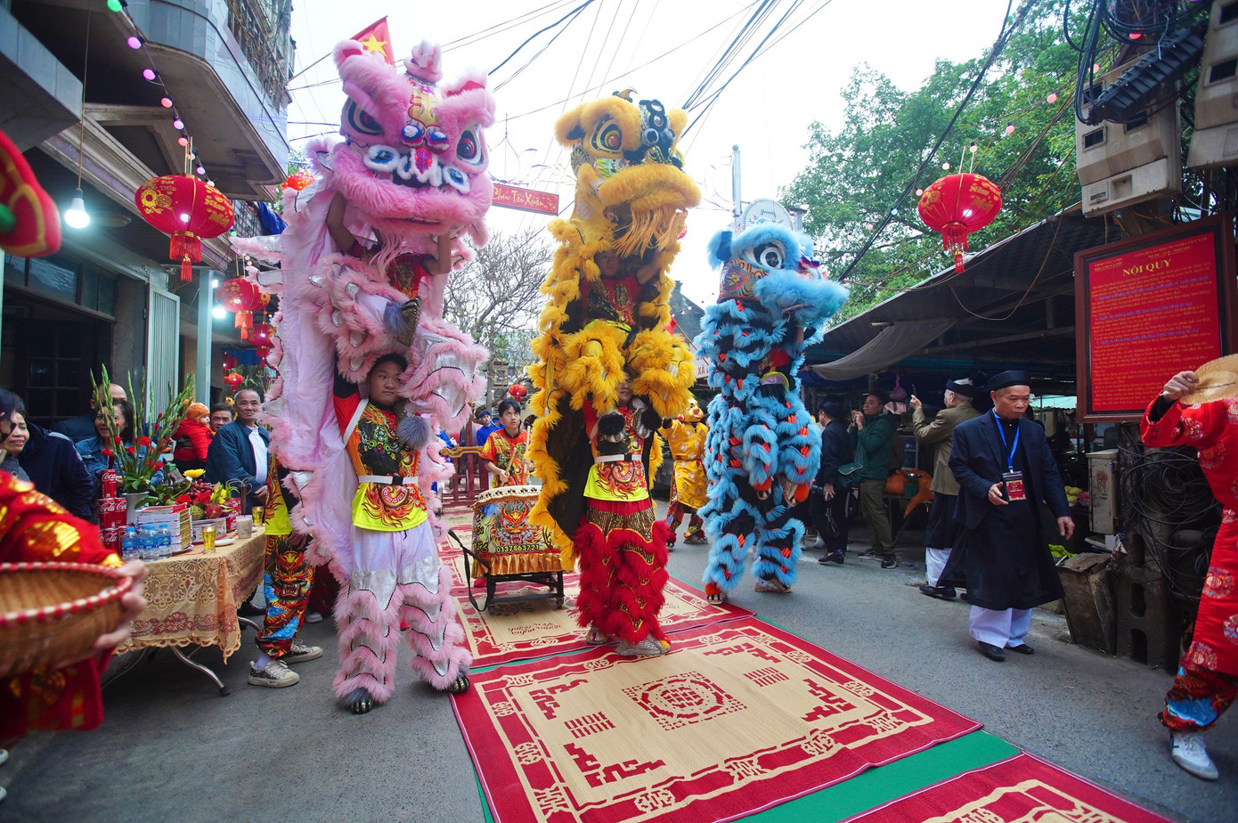 Đoàn múa lân dẫn đầu đoàn rước đi trên thảm chiếu được trải sẵn.
