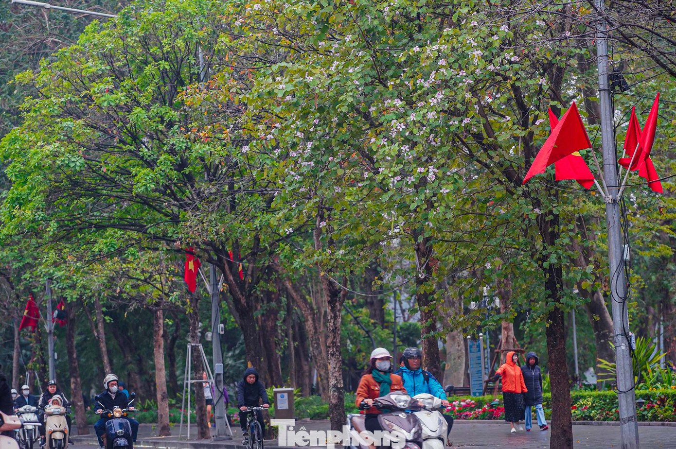 Thời gian này hoa ban bắt đầu nở trên các con phố ở Hà Nội, cùng với cái se lạnh khiến người đi đường cảm giác như đang ở vùng núi Tây Bắc.
