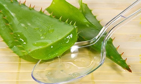 Những người đại kỵ với nha đam, tuyệt đối không ăn vì cực độc ảnh 2