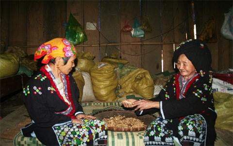 Cụ già chữa bệnh vô sinh giỏi nhất xứ Mường ảnh 2