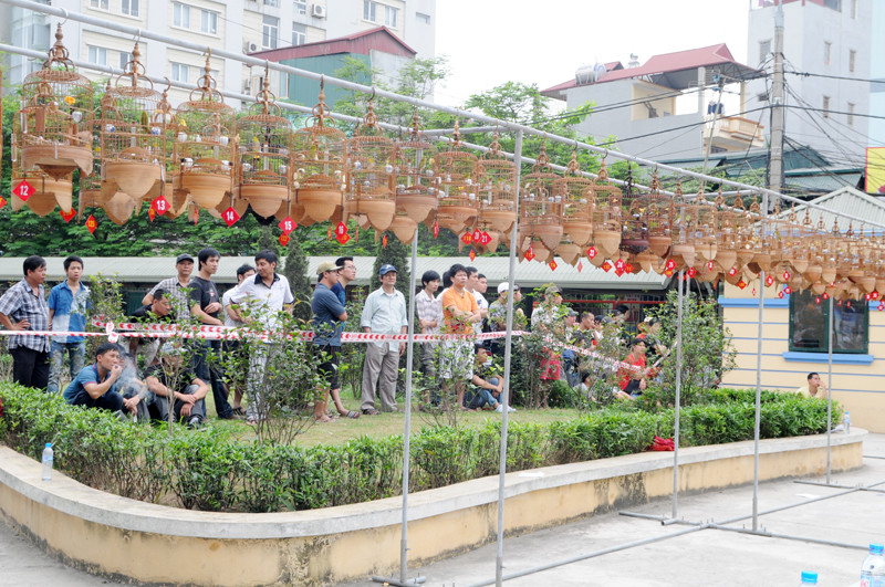 Đông đảo khán giả hào hứng theo dõi cuộc thi