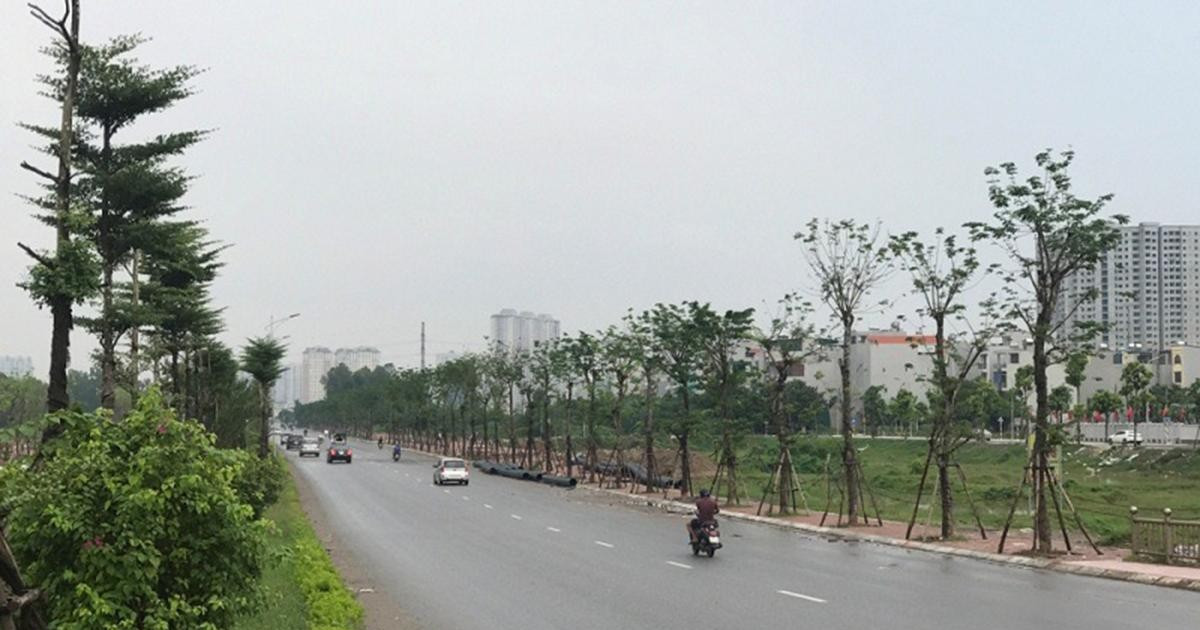 Tuyến đường trục kinh tế phía Nam là điểm cuối của tuyến đường Đỗ Xá - Quan Sơn