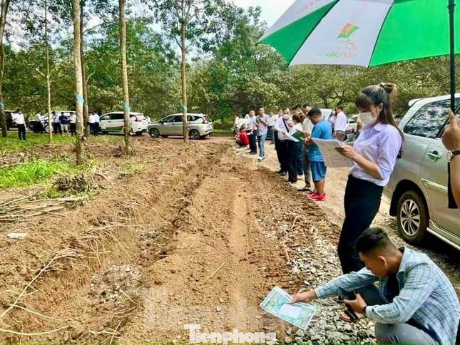 Khu đất nơi nhiều người tụ tập, bao quanh là cây cao su và điều.