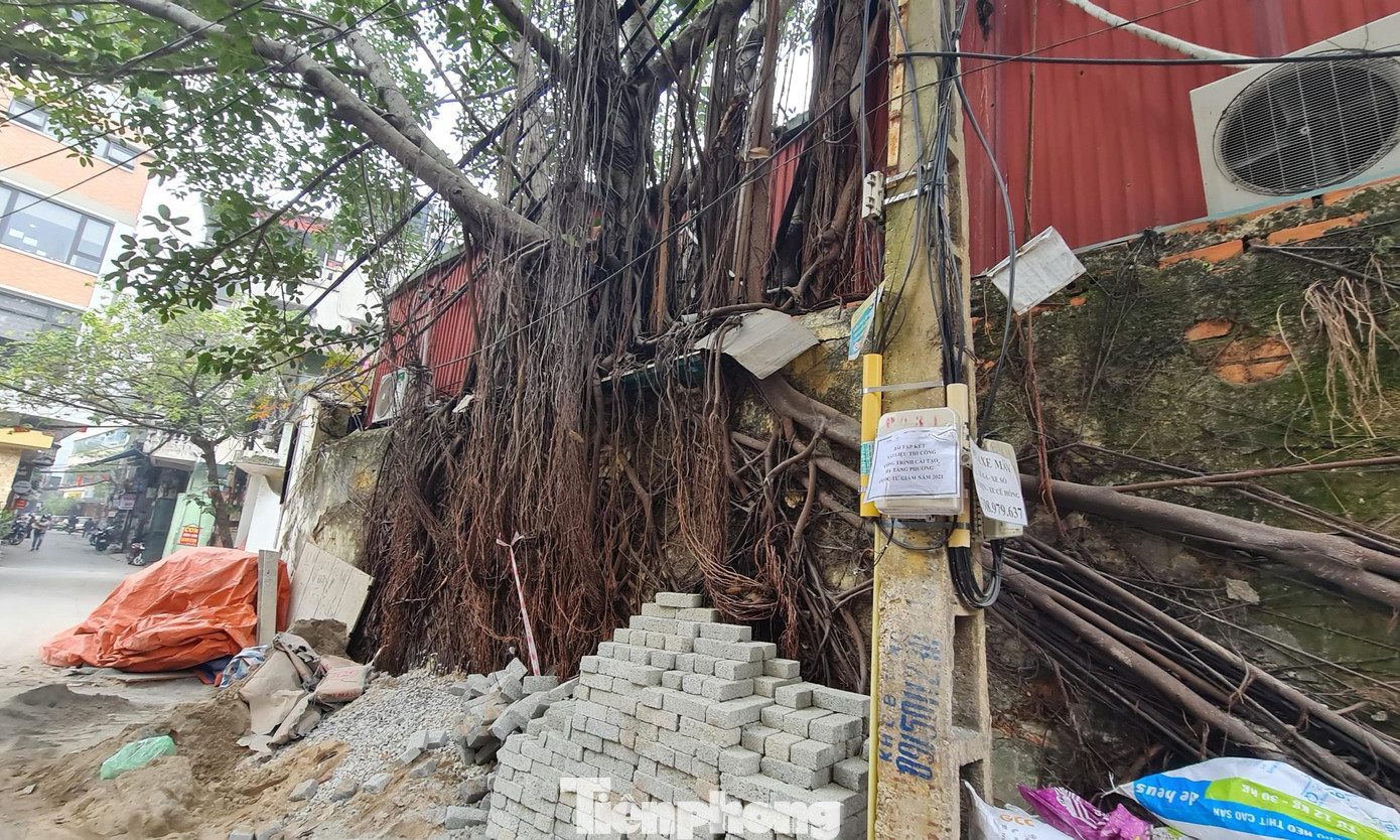 Liên quan đến nội dung trên, Sở TN-MT đã ban hành quyết định kiểm tra việc thực hiện kết luận thanh tra đối với Công ty CP xây dựng lắp máy điện nước Hà Nội và Bệnh viện đa khoa tư nhân Tràng An. Tuy nhiên, do dịch COVID-19 đang bùng phát trên toàn thành phố trong năm 2021, Đoàn kiểm tra phải tạm dừng công tác kiểm tra đối với Công ty CP xây dựng lắp máy điện nước Hà Nội và Bệnh viện đa khoa tư nhân Tràng An.