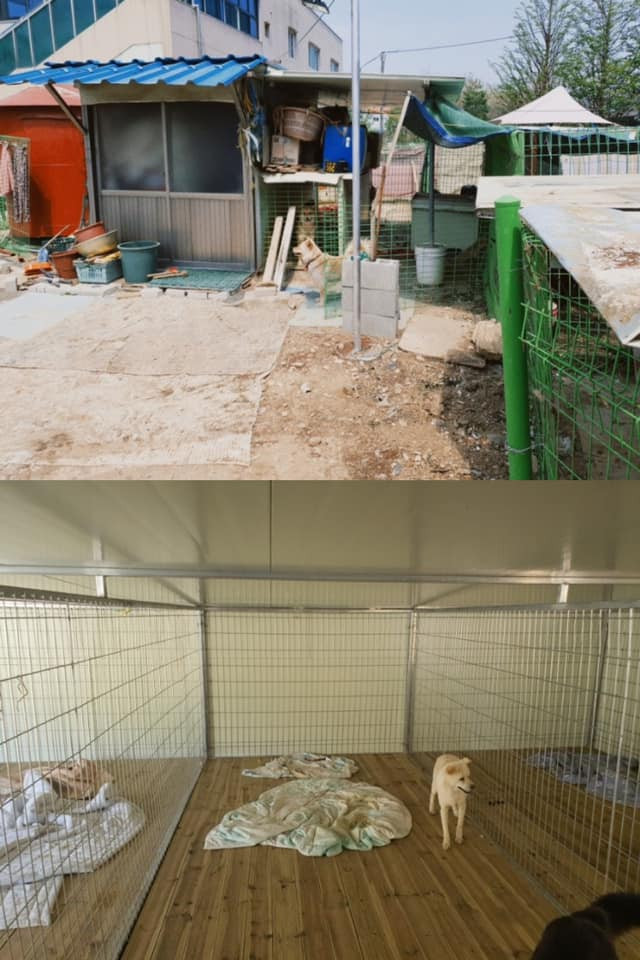 Hình ảnh khu tạm trú trước và sau khi được tu sửa. Ảnh: Twitter @JHtwt_ Hình ảnh khu tạm trú trước và sau khi được tu sửa. Ảnh: Twitter @JHtwt_