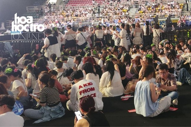 Hình ảnh "vườn rau xà lách" của EXO-L thu hút nhiều sự chú ý vì đáng yêu. Hình ảnh "vườn rau xà lách" của EXO-L thu hút nhiều sự chú ý vì đáng yêu.