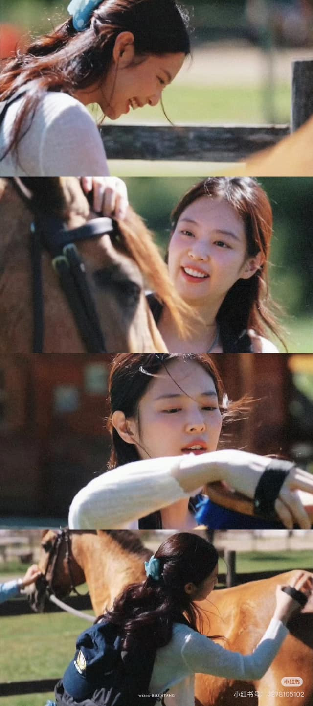 Jennie vừa chải lông vừa trò chuyện cùng chú ngựa.