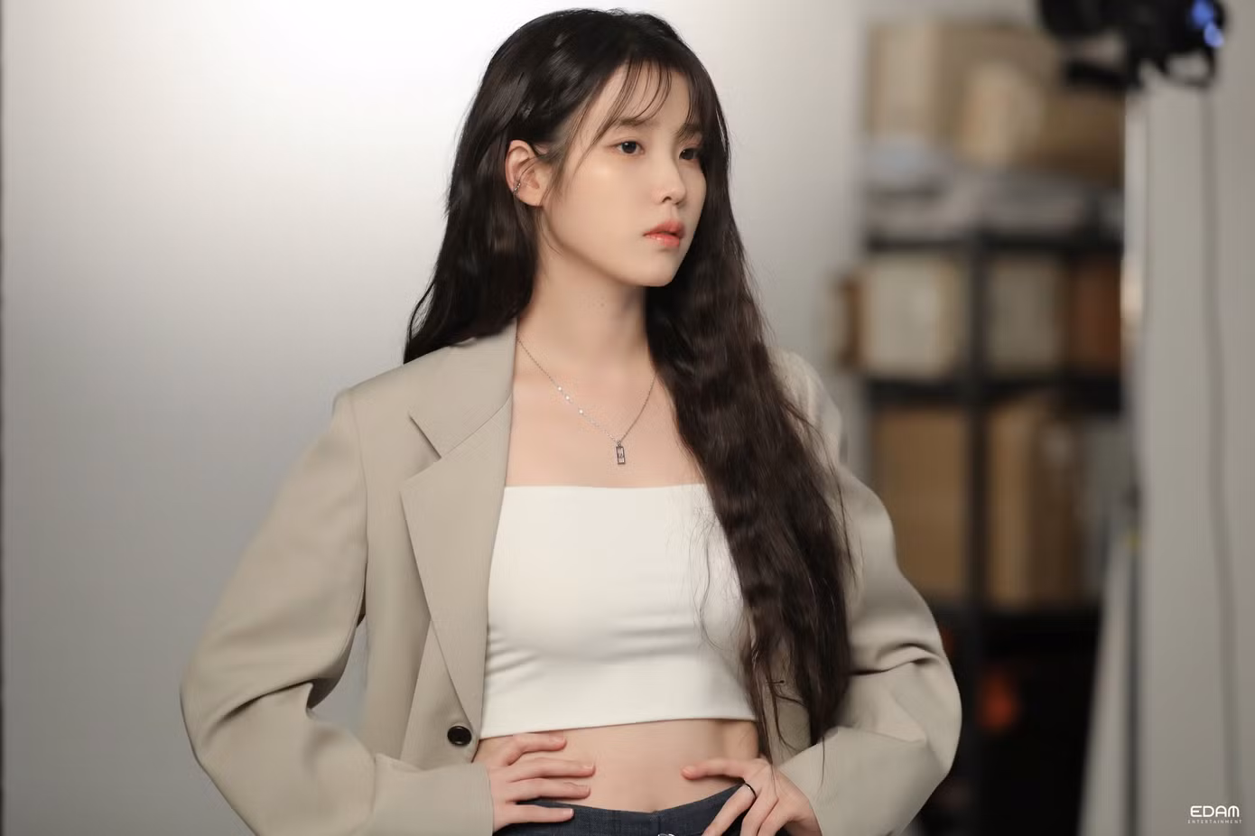 Cụ thể, IU đã từng bị cáo buộc vi phạm luật bản quyền tổng cộng 6 ca khúc, bao gồm The Red Shoes, Good Day, Bbibbi, Pitiful, Boo và Celebrity.