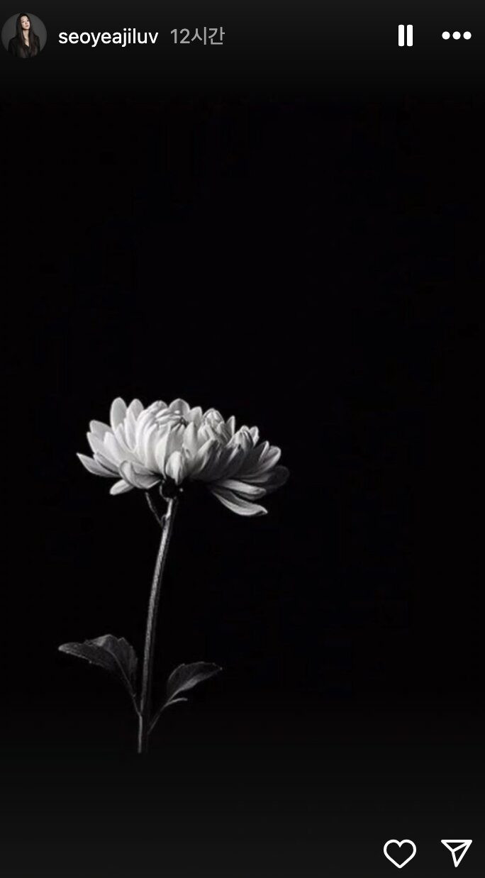 Các diễn viên Kim Ok Vin và Seo Ye Ji cũng đăng tải hình ảnh hoa cúc để bày tỏ lời chia buồn.