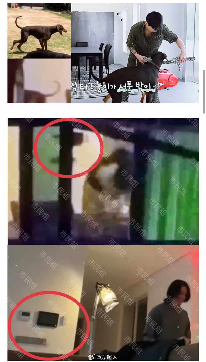 Hình ảnh được cho là khoảnh khắc thân mật giữa Jung Kook và bạn gái. Hình ảnh được cho là khoảnh khắc thân mật giữa Jung Kook và bạn gái.