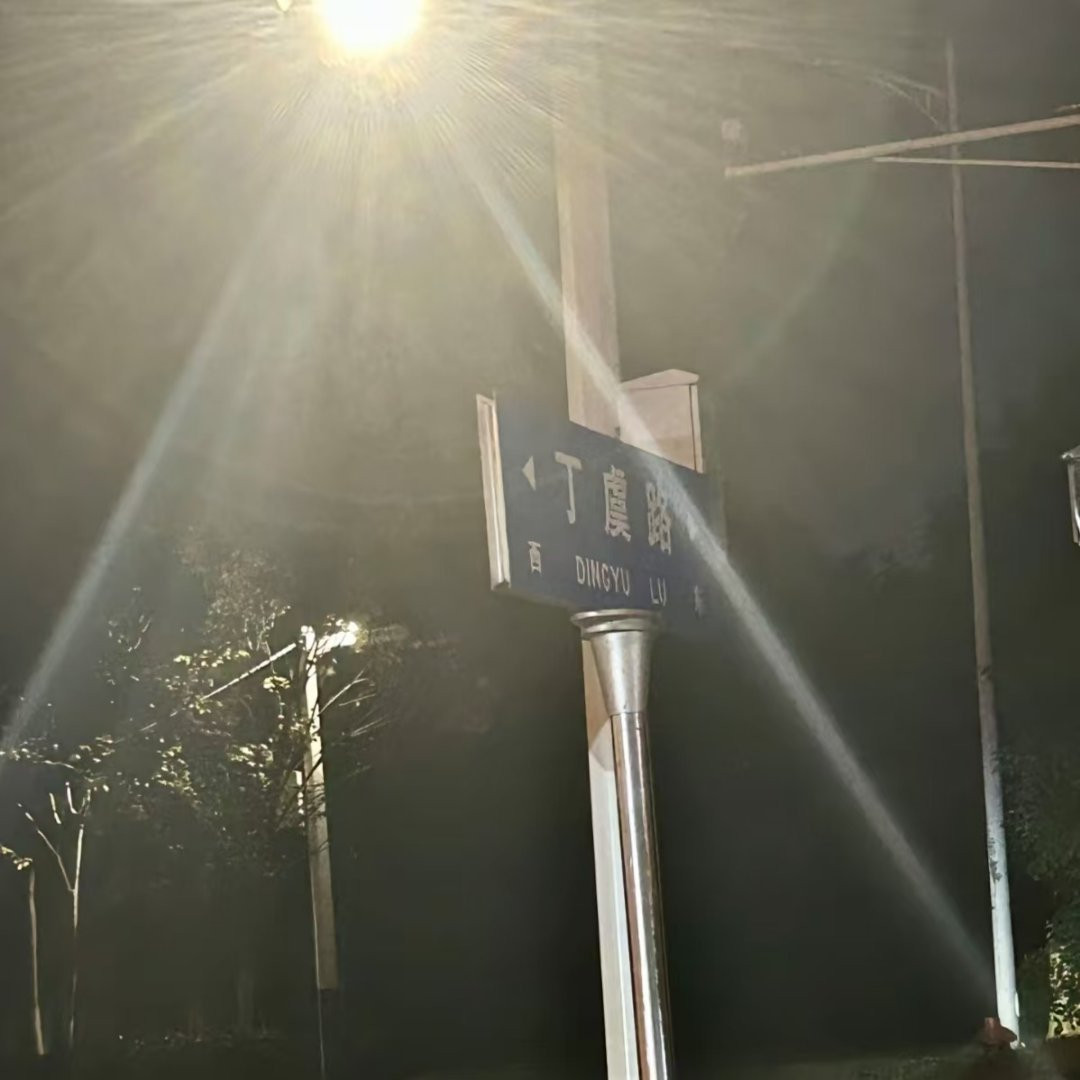 Bảng tên đường &quot;Đinh Ngu&quot; thu hút sự chú ý của cư dân mạng.