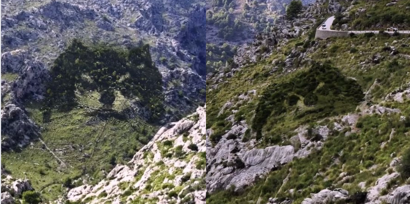 "Idol giới trẻ" (biệt danh fan đặt cho cún cưng của V) - Kim Yeontan cũng xuất hiện trong MV theo cách đặc biệt. "Idol giới trẻ" (biệt danh fan đặt cho cún cưng của V) - Kim Yeontan cũng xuất hiện trong MV theo cách đặc biệt.