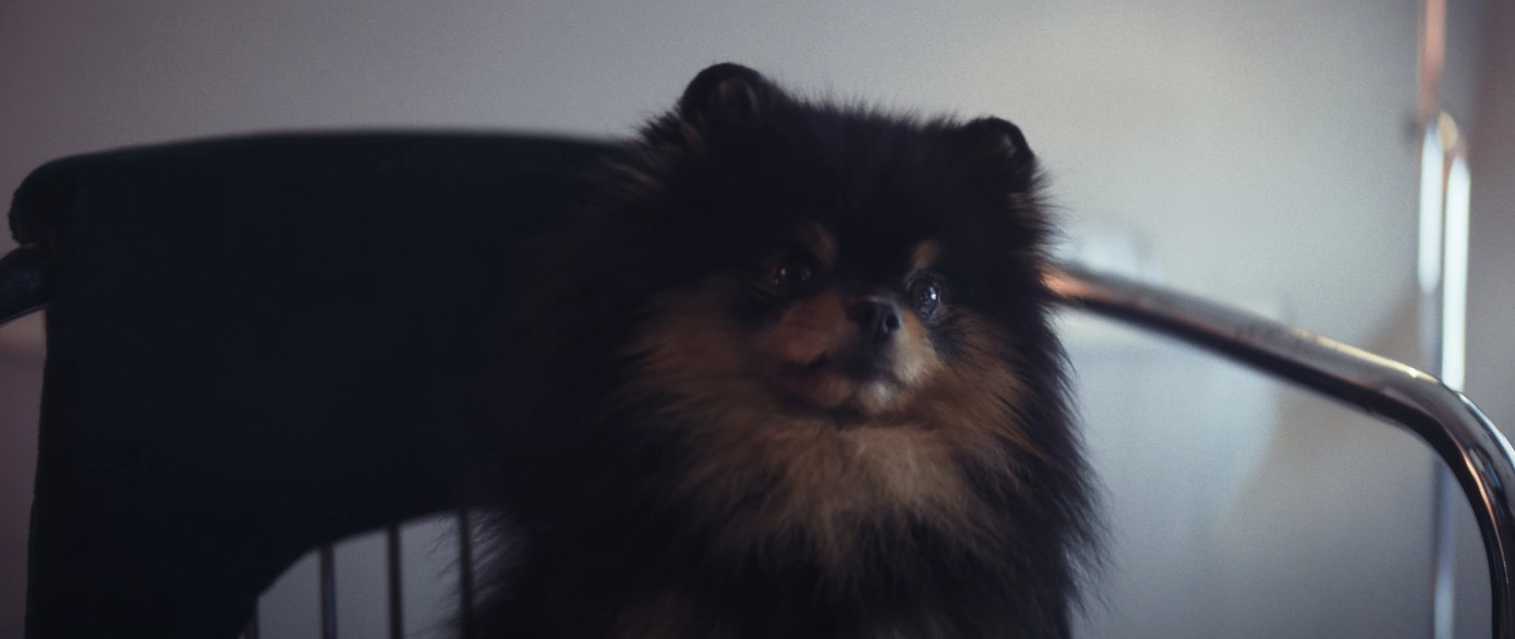 "Idol giới trẻ" Kim Yeontan cũng thực hiện tốt vai trò đặc biệt của mình. "Idol giới trẻ" Kim Yeontan cũng thực hiện tốt vai trò đặc biệt của mình.