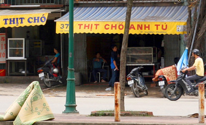 Luận về… cầy, cẩu: Giã từ mộc tồn ảnh 1