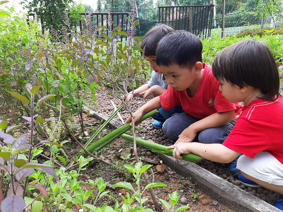 Muôn kiểu kỹ năng ảnh 1