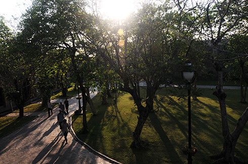 Không gian ở ngoài được kết hợp hài hòa với công viên cây xanh độc đáo. Anh Đôn cho biết: 