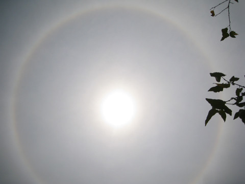 Nó có nhiều màu sắc giống như cầu vồng, bao gồm màu đỏ, da cam, vàng, lục, lam, chàm, tím. Ảnh: 3S. Ảnh: 3S