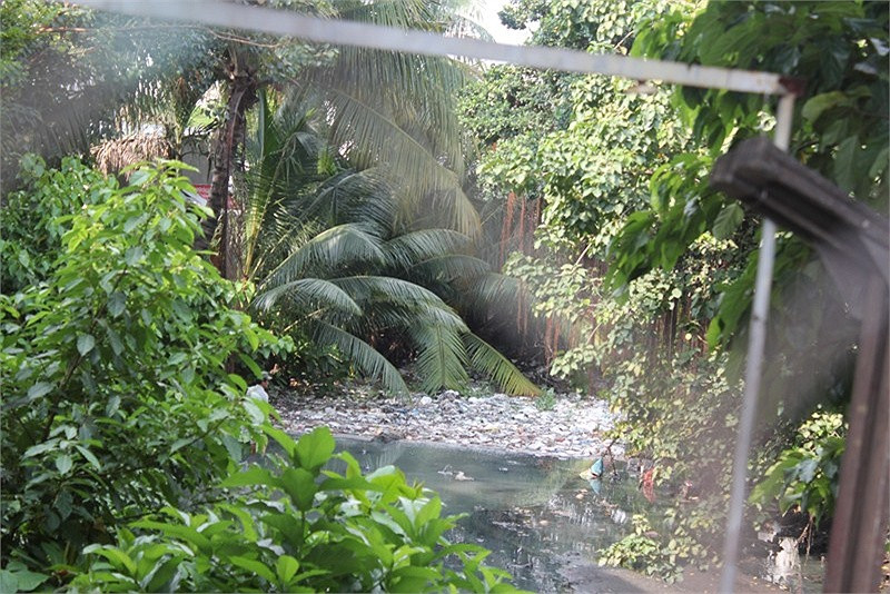 Rác ken đặc trên một con kênh (thuộc địa bàn quận Bình Thạnh)