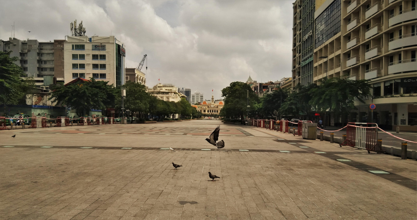 Phố đi bộ trở thành "thiên đường" của chim bồ câu Phố đi bộ trở thành "thiên đường" của chim bồ câu