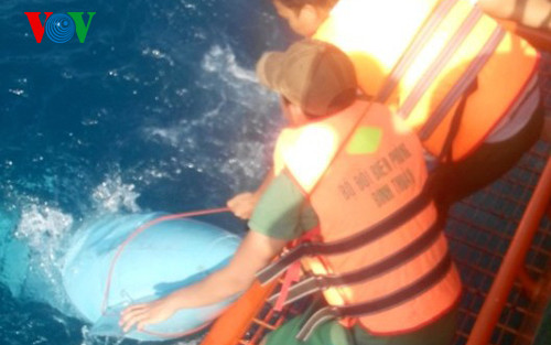 Ngày thứ 6 tìm Su-22 gặp nạn: Vẫn chưa thấy 2 phi công ảnh 1