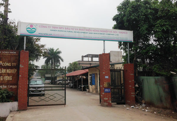 Hiện trạng dự án