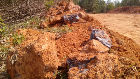 TQ, giả du lịch, khảo sát, VN TQ, giả du lịch, khảo sát, VN