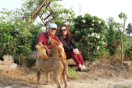 Pit Bull tỏ vẻ thân thiện với khách lạ