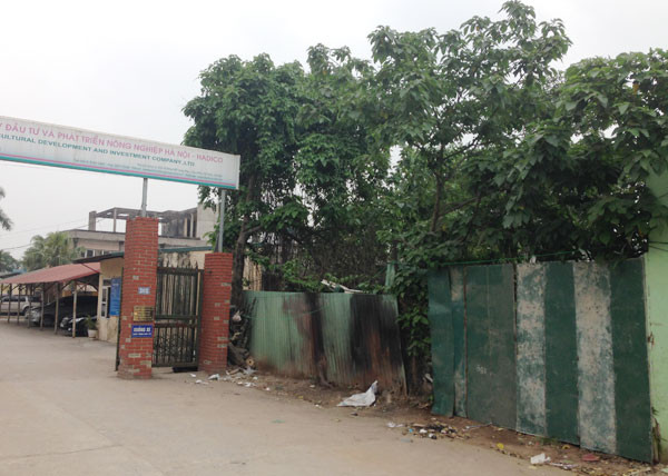 Cảnh lộn xộn trước mặt tiền công trình