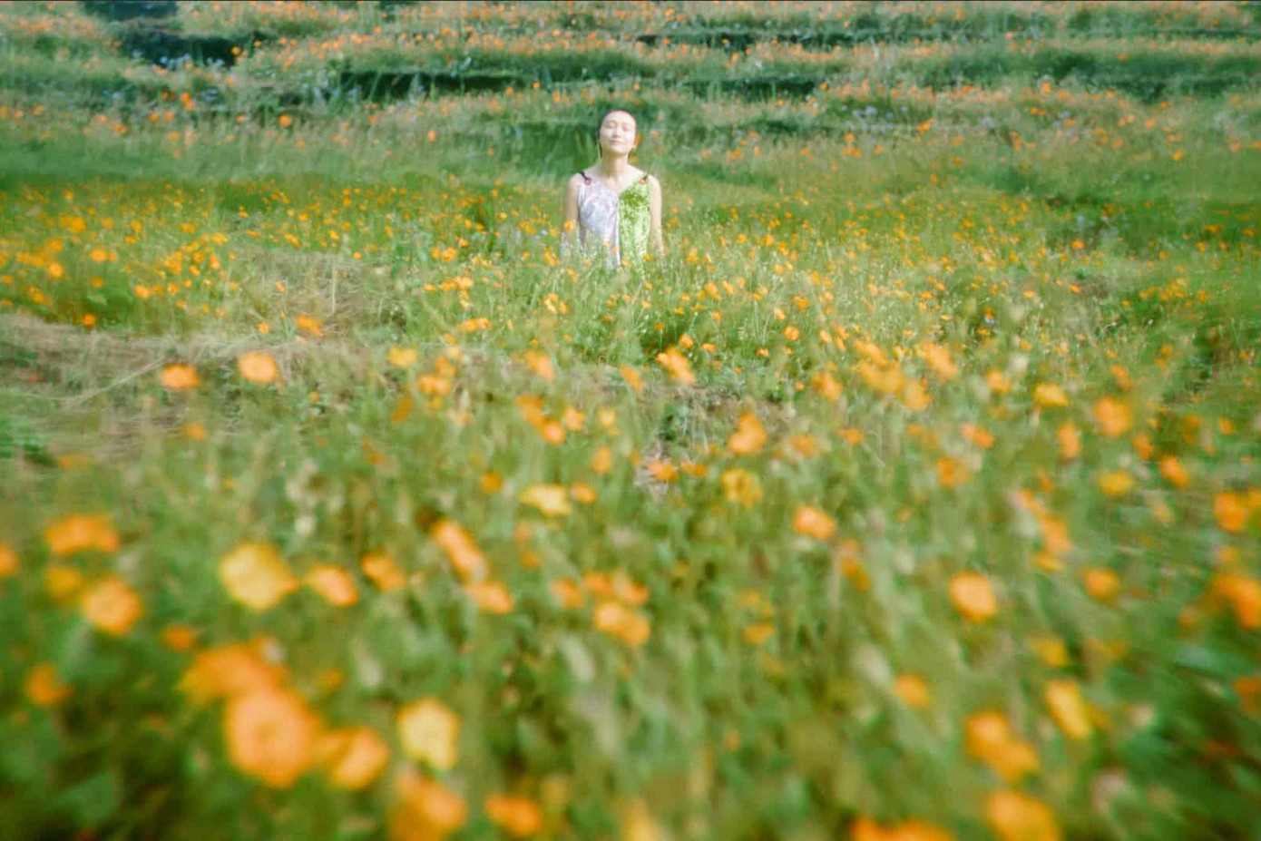 Một vài hình ảnh trong phim.