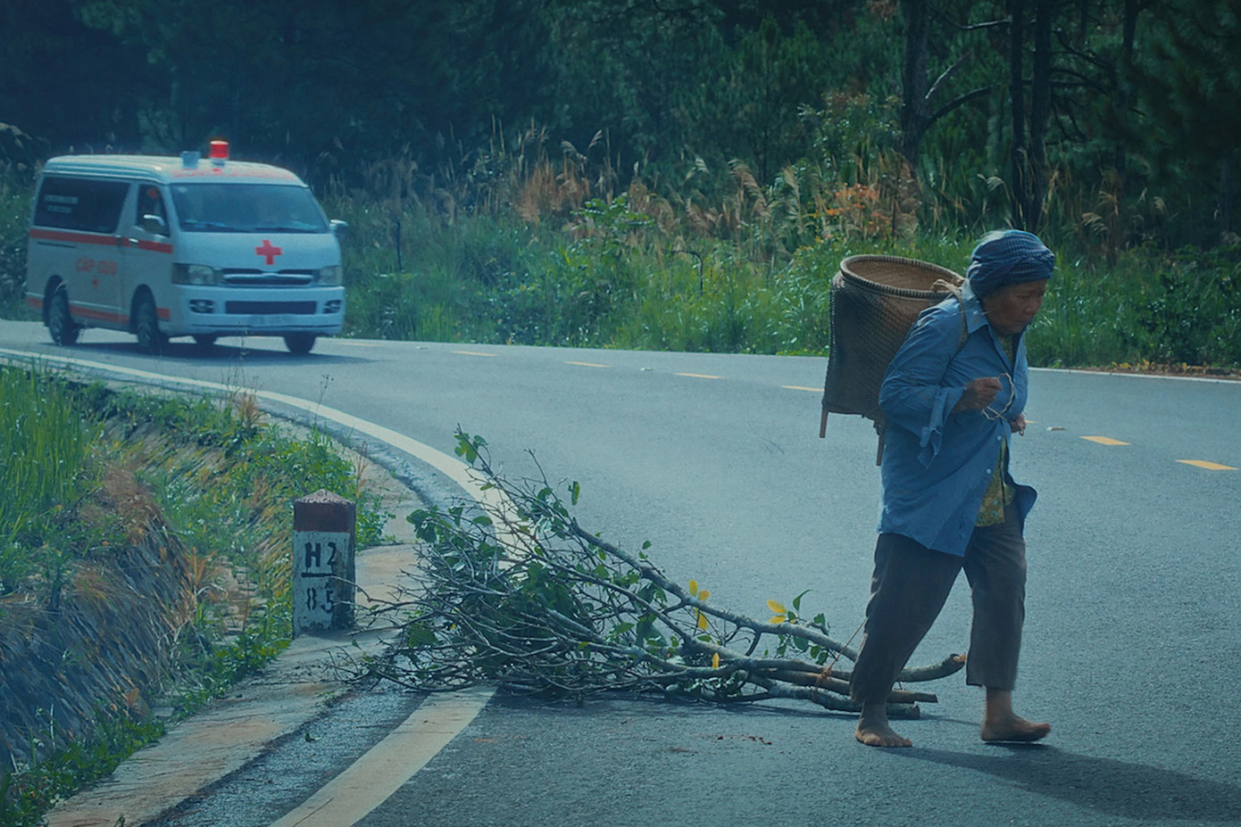 Một vài hình ảnh trong phim.