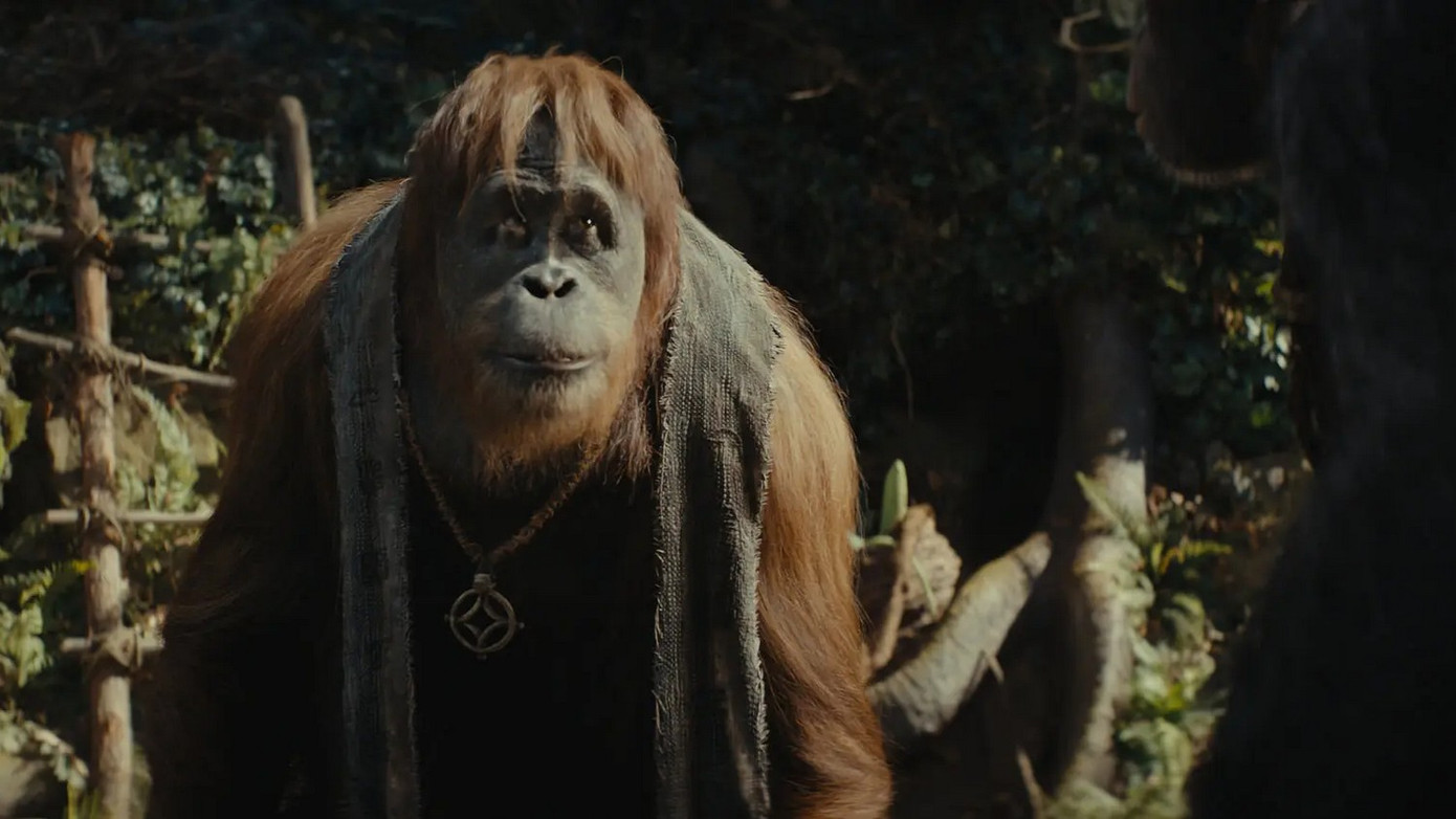 Một vài hình ảnh trong phim.