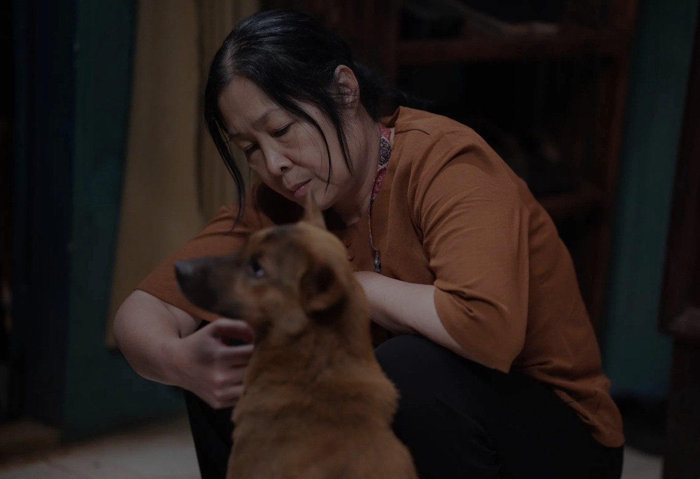 Một vài hình ảnh trong phim.