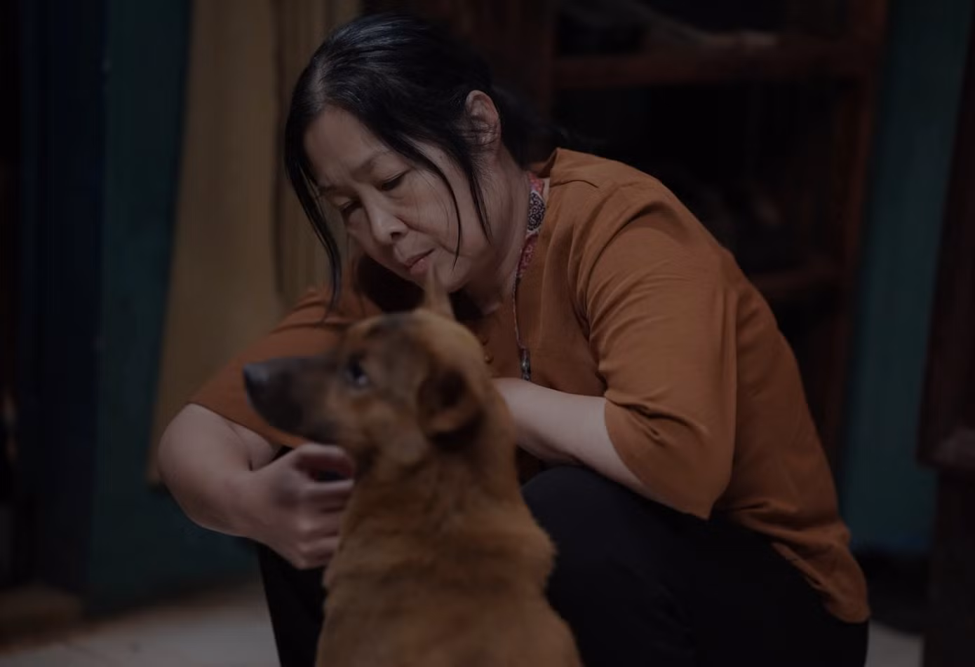 Một vài hình ảnh trong phim. Một vài hình ảnh trong phim.