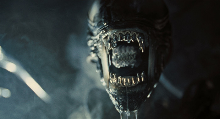 Một vài hình ảnh trong phim.