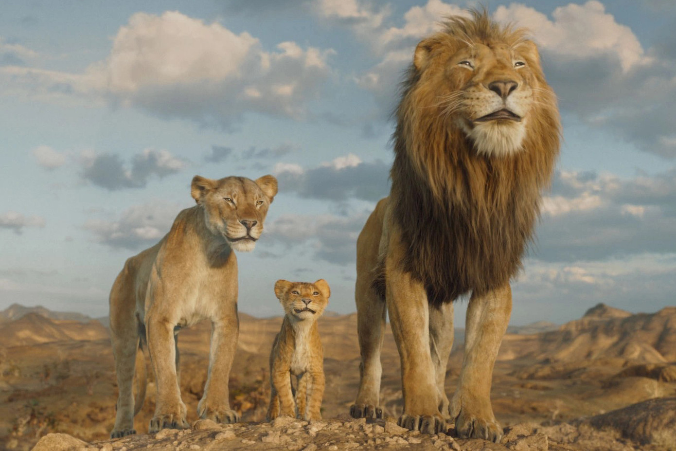 Hình ảnh trong phim đẹp khó chê.