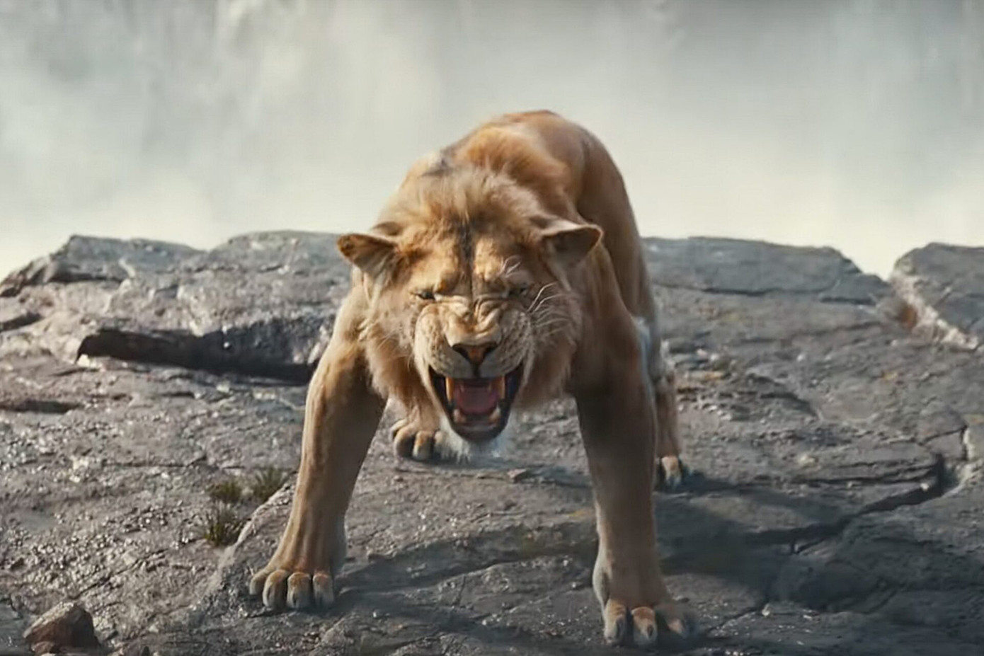 Một vài hình ảnh trong phim. Một vài hình ảnh trong phim.