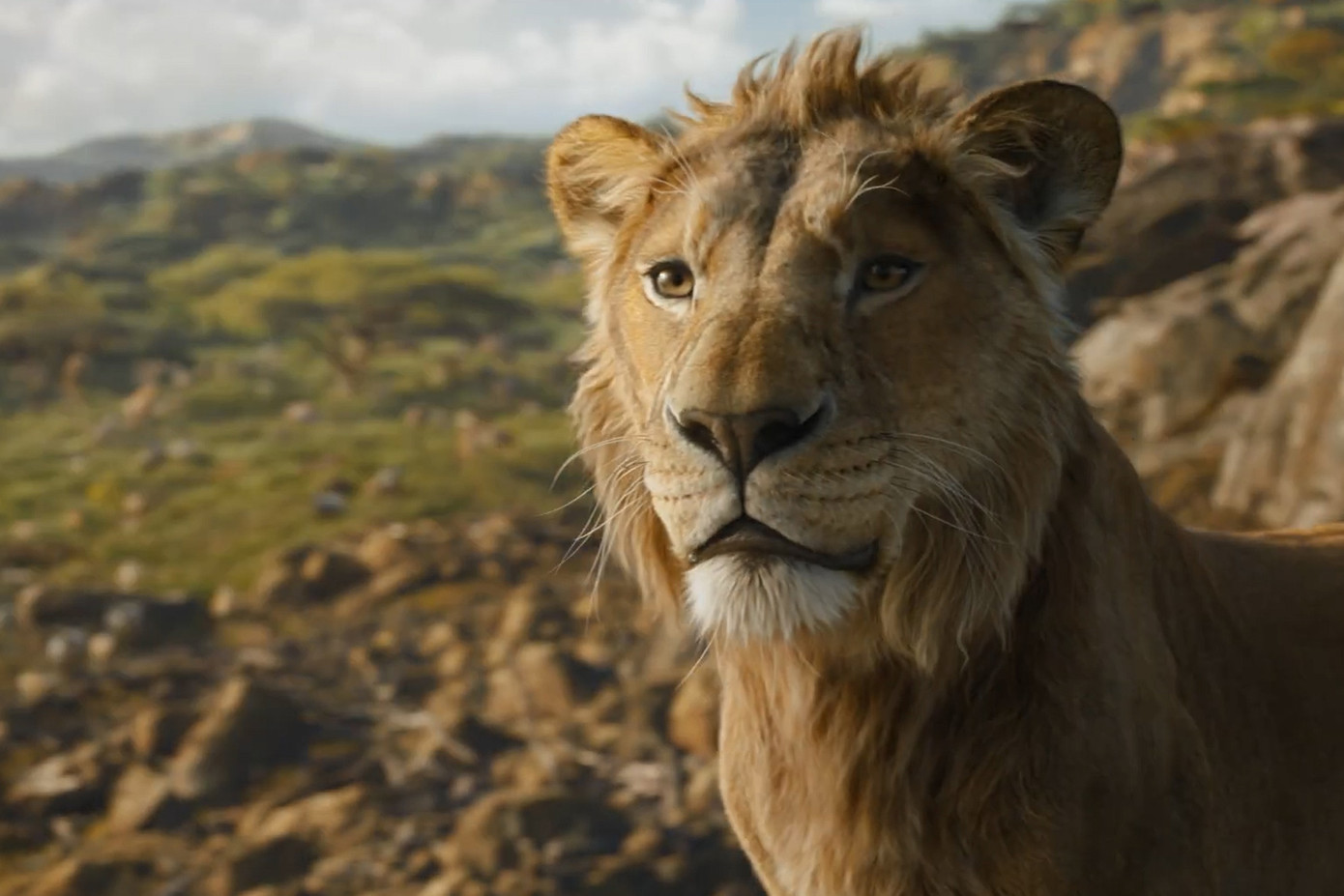 Tiền truyện khai thác số phận của vua sư tử Mufasa. Tiền truyện khai thác số phận của vua sư tử Mufasa.