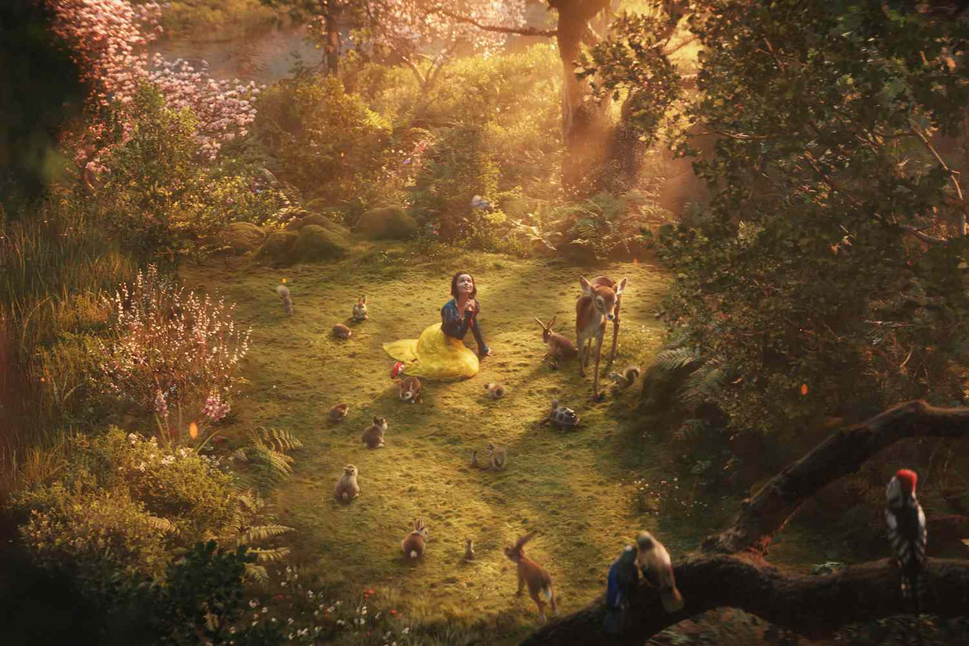 Một vài hình ảnh trong phim. Một vài hình ảnh trong phim.