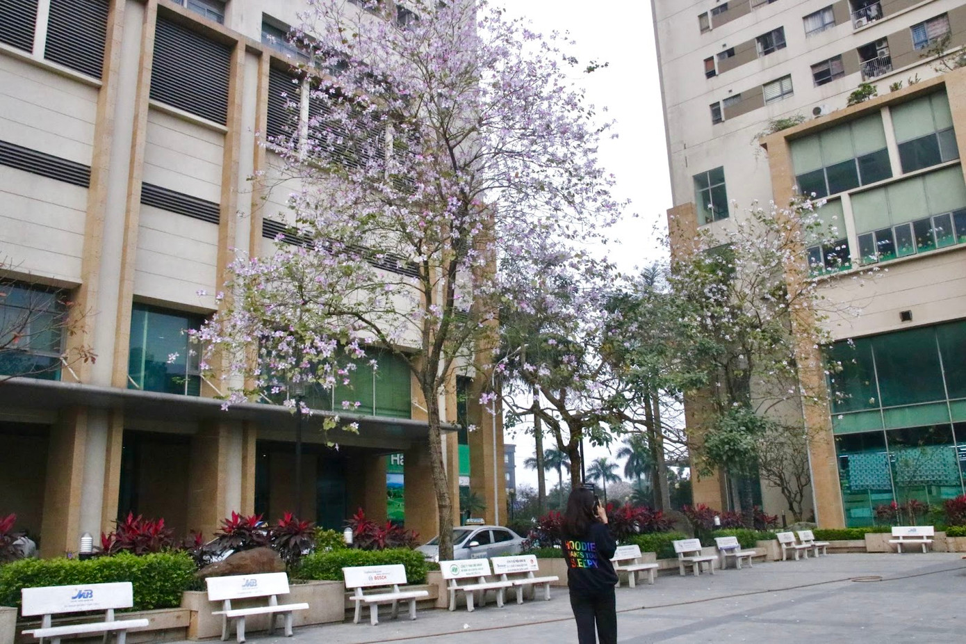 Cư dân thích thú, tranh thủ checkin ngay dưới sân chung cư nơi mình ở.