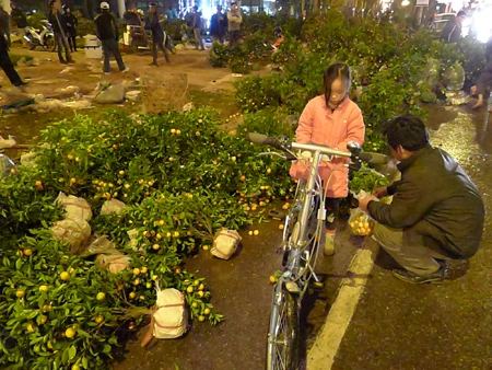 Hái quả mang về