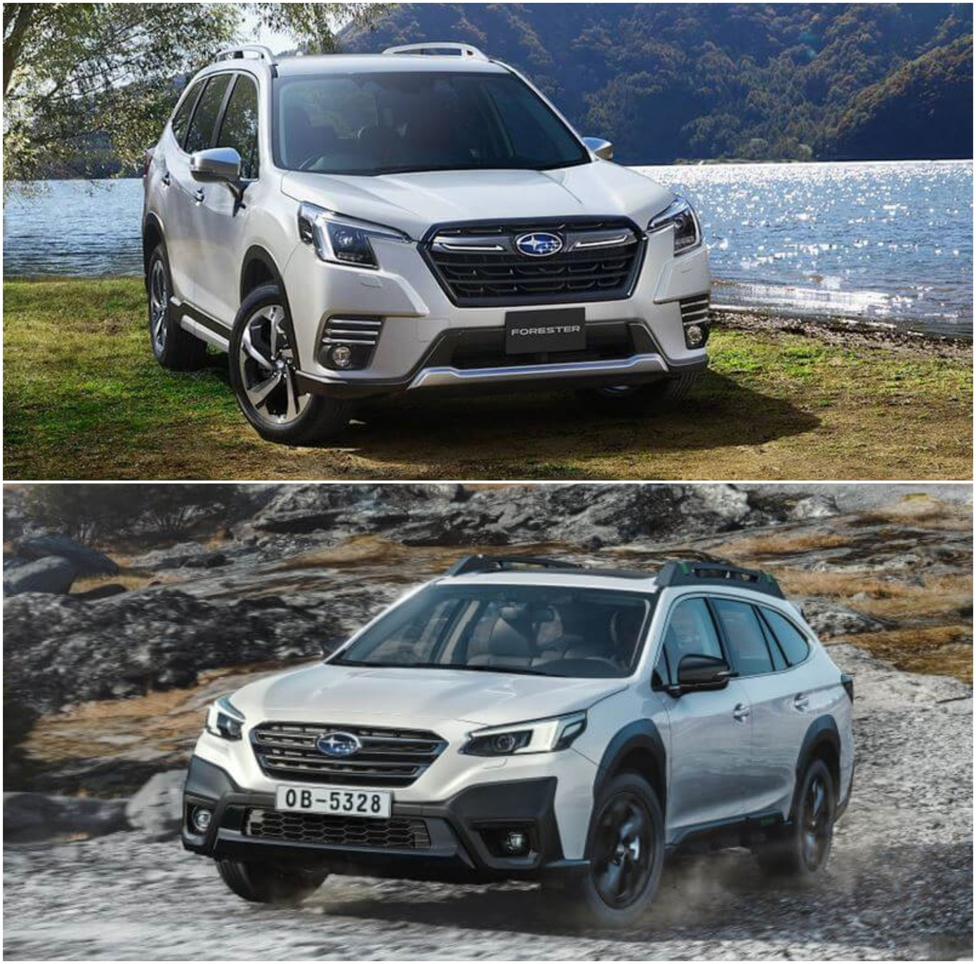Subaru Forester và Outback là hai mẫu xe gầm cao được giảm giá nhiều nhất thị trường hiện tại. Subaru Forester và Outback là hai mẫu xe gầm cao được giảm giá nhiều nhất thị trường hiện tại.