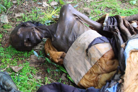 Quan chức này được biết đã phục vụ Hoàng đế Quangxu trong năm thứ 8 của ông. Quan chức này được biết đã phục vụ Hoàng đế Quangxu trong năm thứ 8 của ông