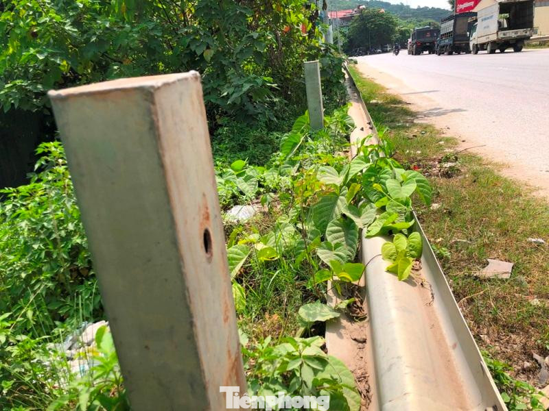 Nhiều đoạn lan can đảm bảo an toàn bằng tôn lượn sóng gãy đổ xuống đường lâu, bị cỏ, cây dại quấn lên trên.