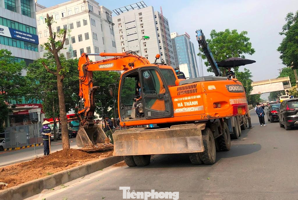 Sau khi di chuyển hầu hết cây xanh, dải phân cách đường Hoàng Quốc Việt vẫn còn lại khoảng 4 mét mặt cắt ngang, nhiều cây xanh từng được đánh chuyển nay được đưa về để trồng lại.