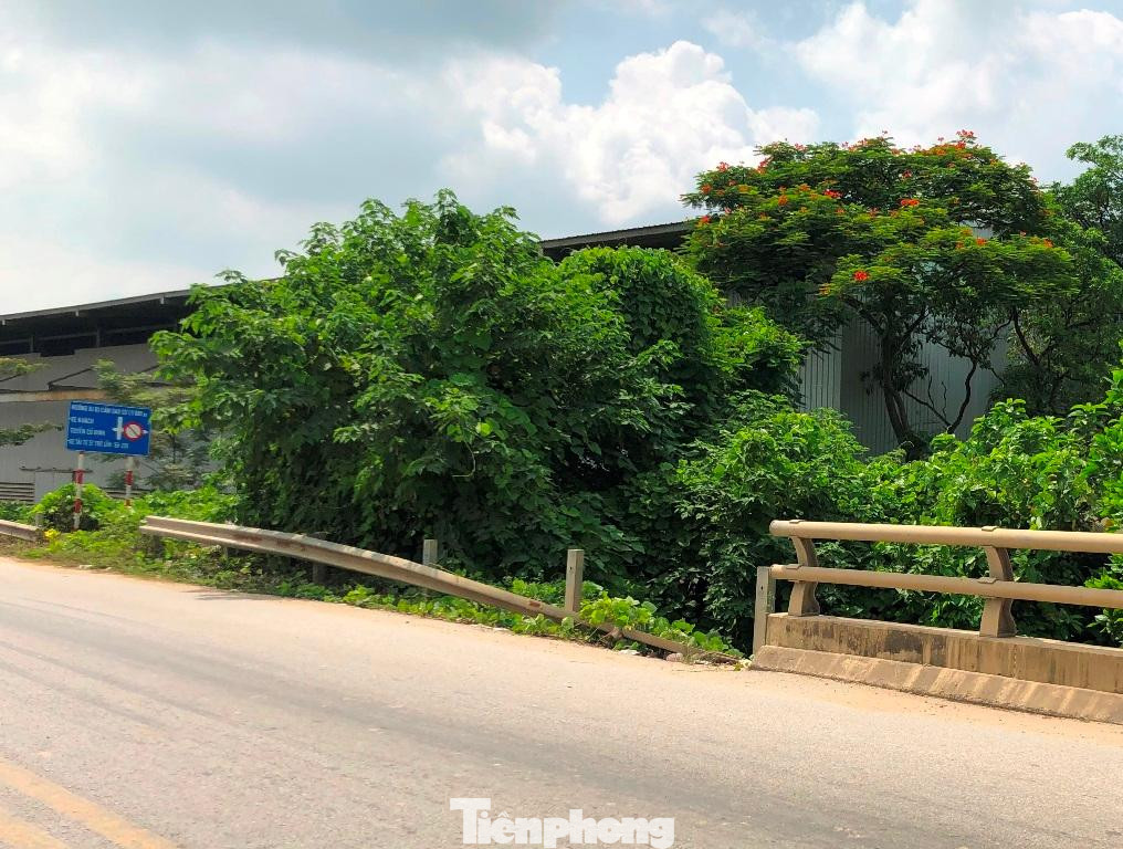 Lan can đoạn qua cầu Hạc bị xe tông gãy lâu nay vẫn đang để nguyên.