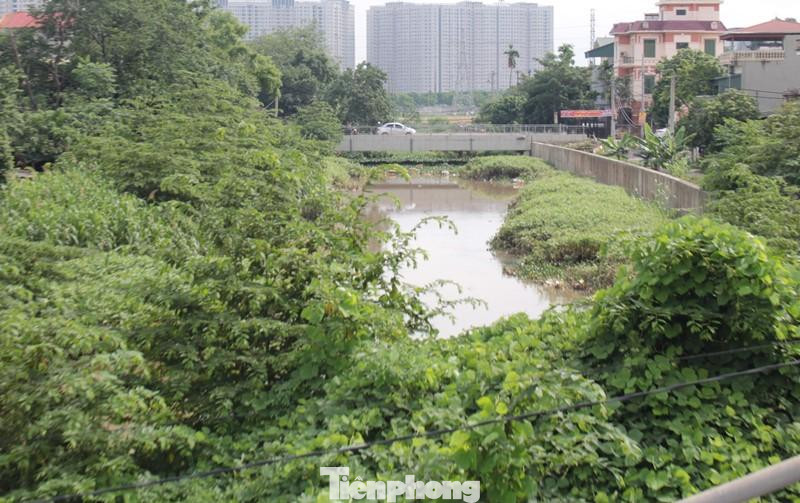 Thậm chí, nhiều đoạn cây bụi um tùm phủ kín cả lòng kênh dẫn.