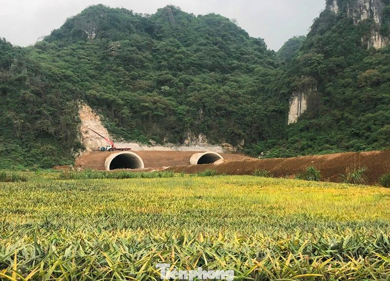 Ảnh chụp cửa hầm phía Nam và đường dẫn là nằm trên cánh đồng dứa tại một nông trường ở huyện Hà Trung, Thanh Hóa. Ảnh chụp cửa hầm phía Nam và đường dẫn là nằm trên cánh đồng dứa tại một nông trường ở huyện Hà Trung, Thanh Hóa.