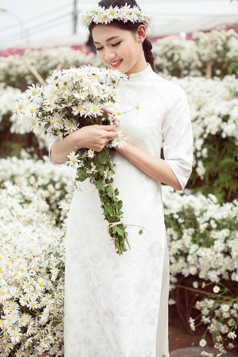 Hoa hậu Ngọc Hân, Á hậu Thanh Tú đẹp rạng rỡ bên cúc họa mi ảnh 2