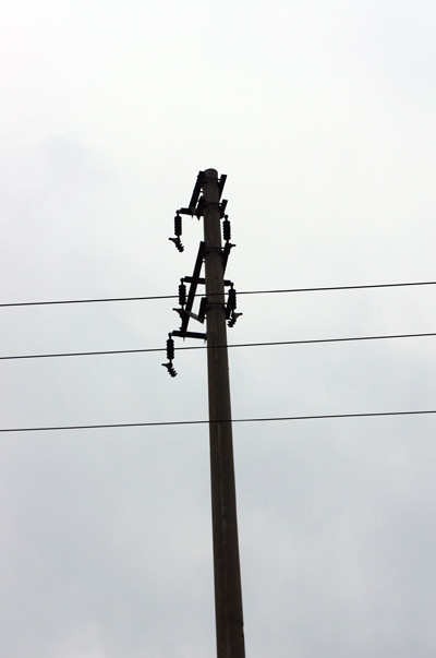 Cáp điện đứt tứ tung