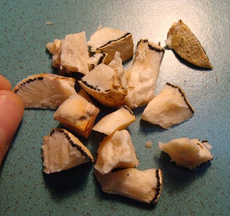 Ông Lâm cho mẩu nấm Phục linh thiên vào bài thuốc điều trị ung thư thì thấy hiệu quả rõ rệt 